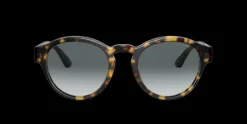 Giorgio Armani AR8146>Women Women