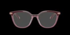 Dolce & Gabbana DG3346>Women Women