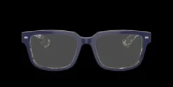 Dolce & Gabbana DG3380> Men