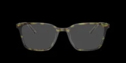 Dolce & Gabbana DG3365> Men
