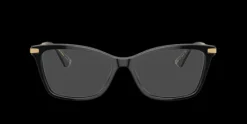 Dolce & Gabbana DG3393>Women Women