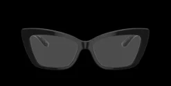 Dolce & Gabbana DG3375B>Women Women