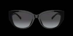 Coach HC8362U CH563>Women Women