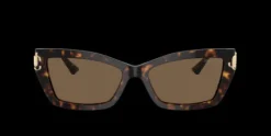 Jimmy Choo JC5011U>Women Women