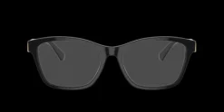 Ralph Lauren RL6243>Women Women