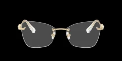 Swarovski SK1014>Women Women