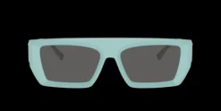 Tiffany TF4214U>Women Women